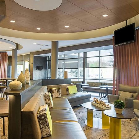 Springhill Suites Tampa North/Tampa Palms Экстерьер фото