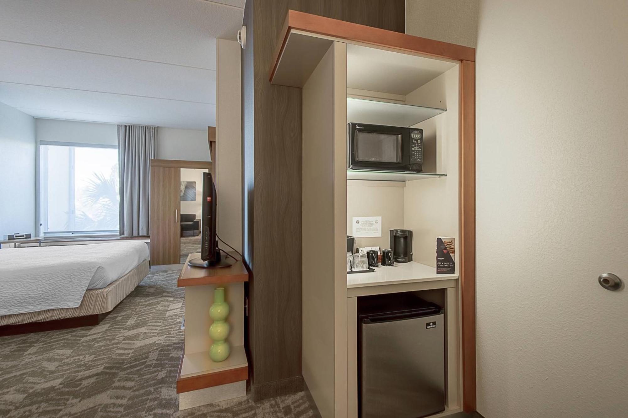 Springhill Suites Tampa North/Tampa Palms Экстерьер фото