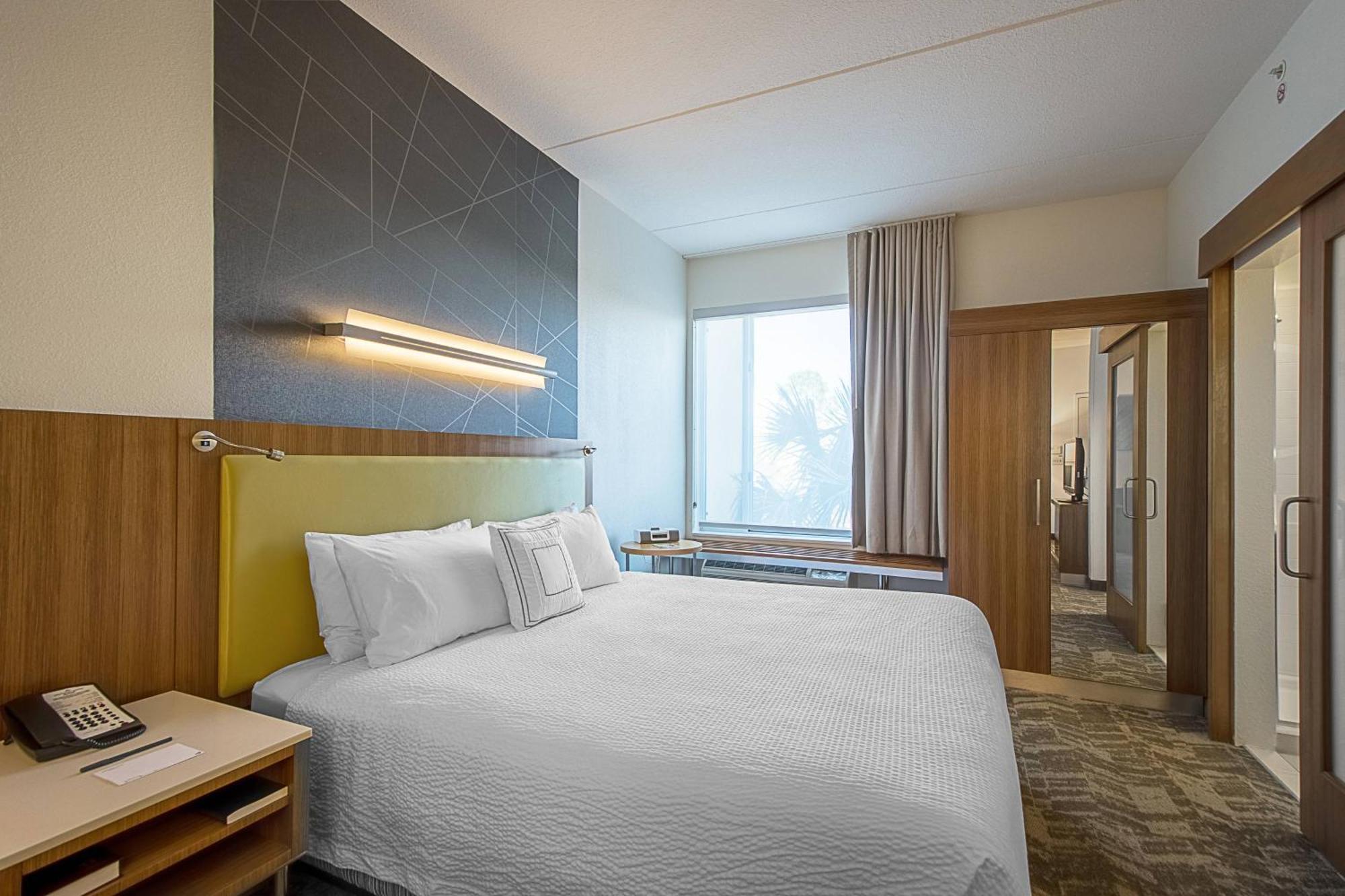 Springhill Suites Tampa North/Tampa Palms Экстерьер фото