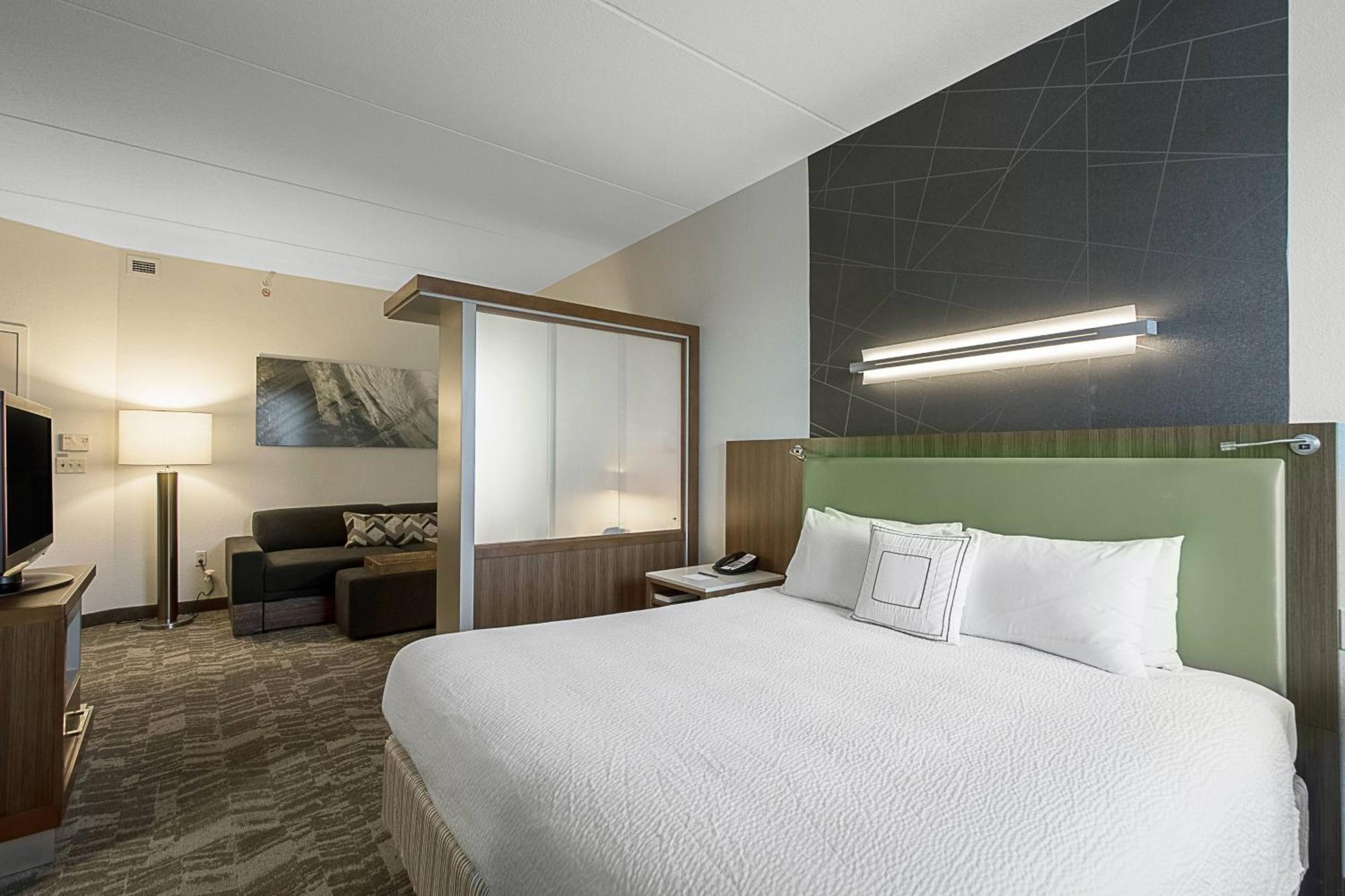 Springhill Suites Tampa North/Tampa Palms Экстерьер фото