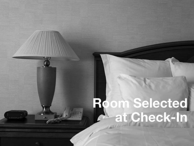 Springhill Suites Tampa North/Tampa Palms Экстерьер фото